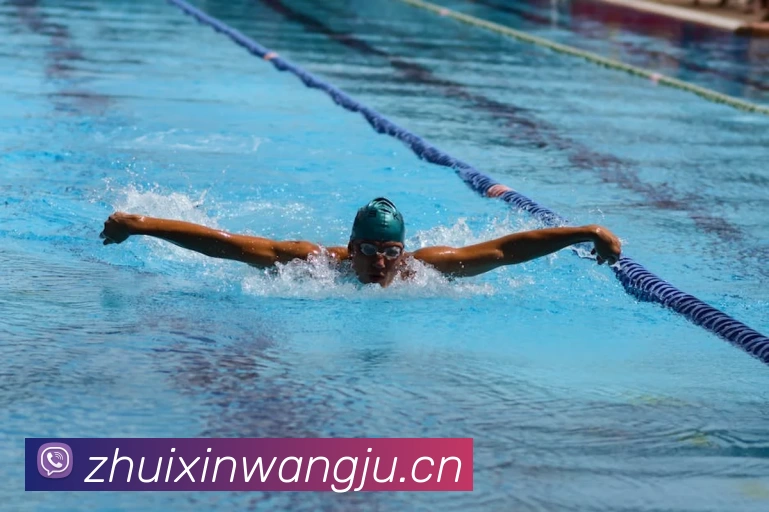 多媒体互动体验